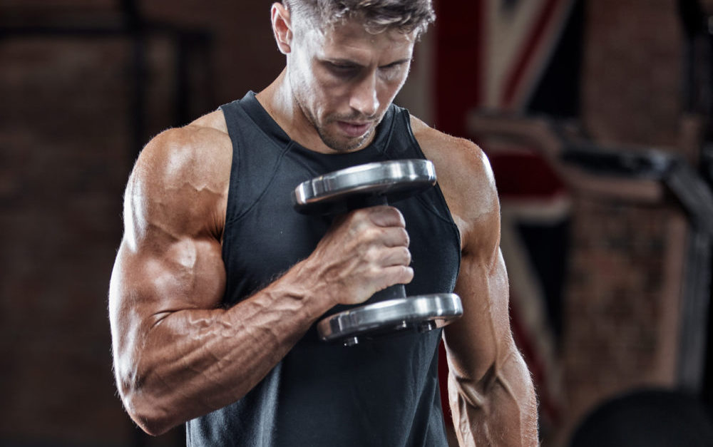 Part 1: The 3 exercises you need for bigger biceps The Fitness Maverick